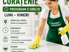 Personal curatenie