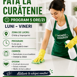 Personal curatenie